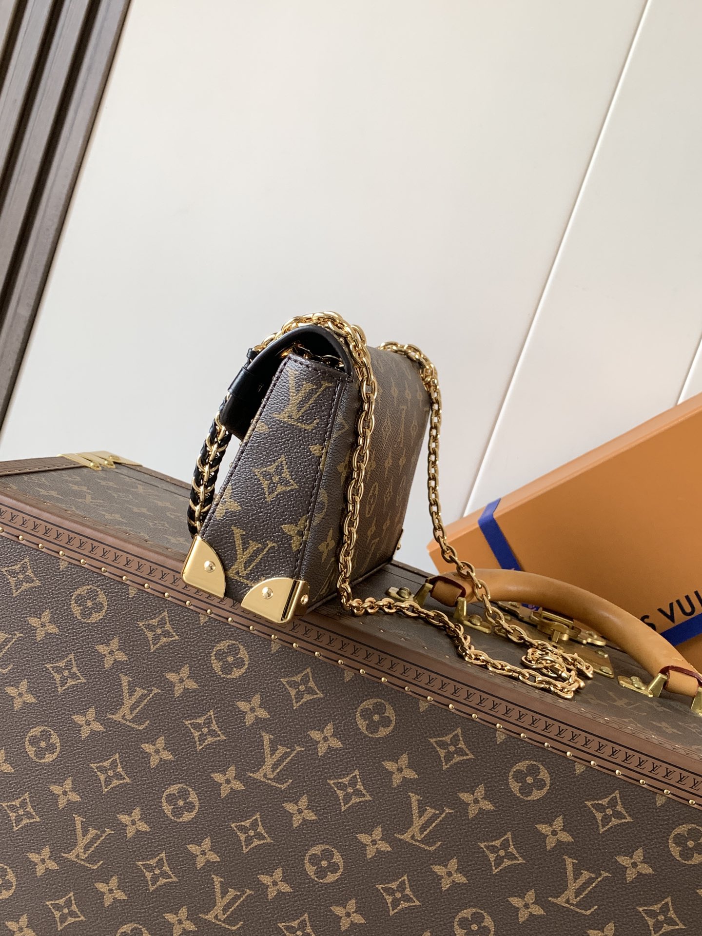 Louis Vuitton Basic Bag Cow Leather M-l-s