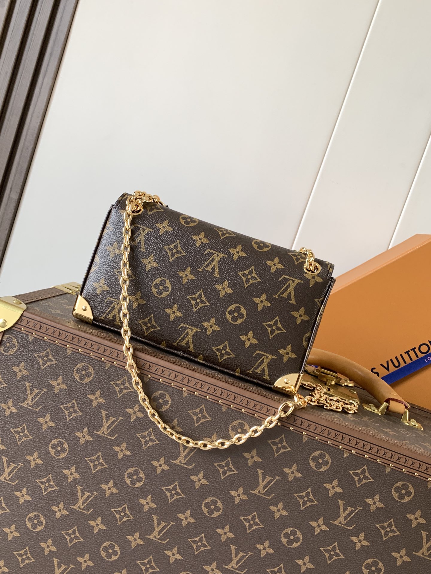 Louis Vuitton Basic Bag Cow Leather M-l-s