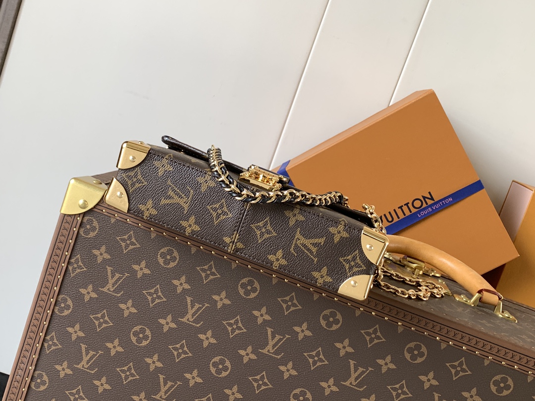 Louis Vuitton Basic Bag Cow Leather M-l-s
