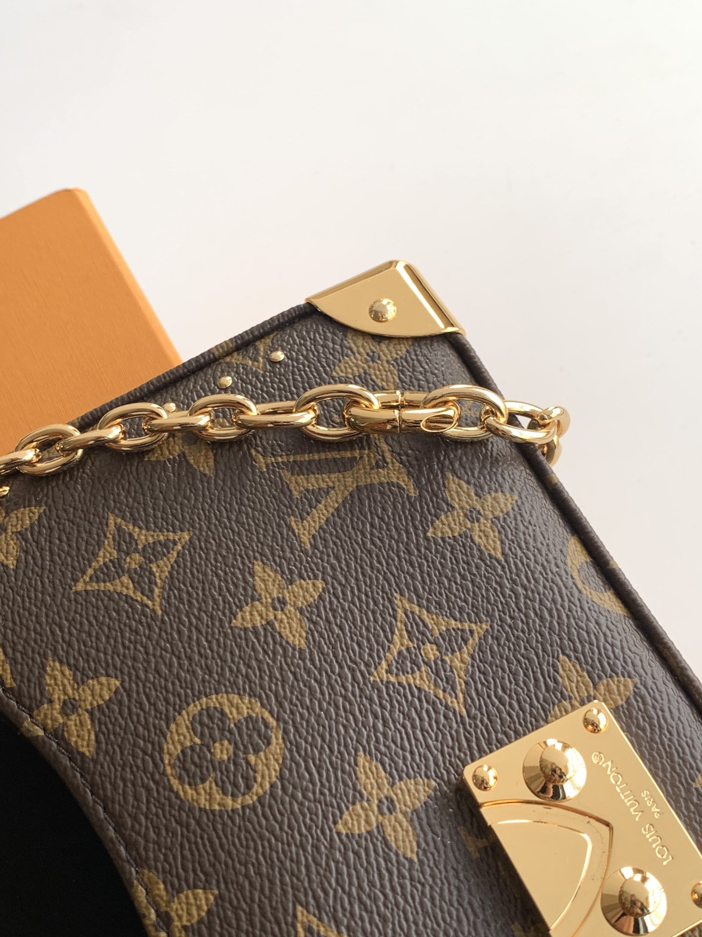 Louis Vuitton Basic Bag Cow Leather M-l-s