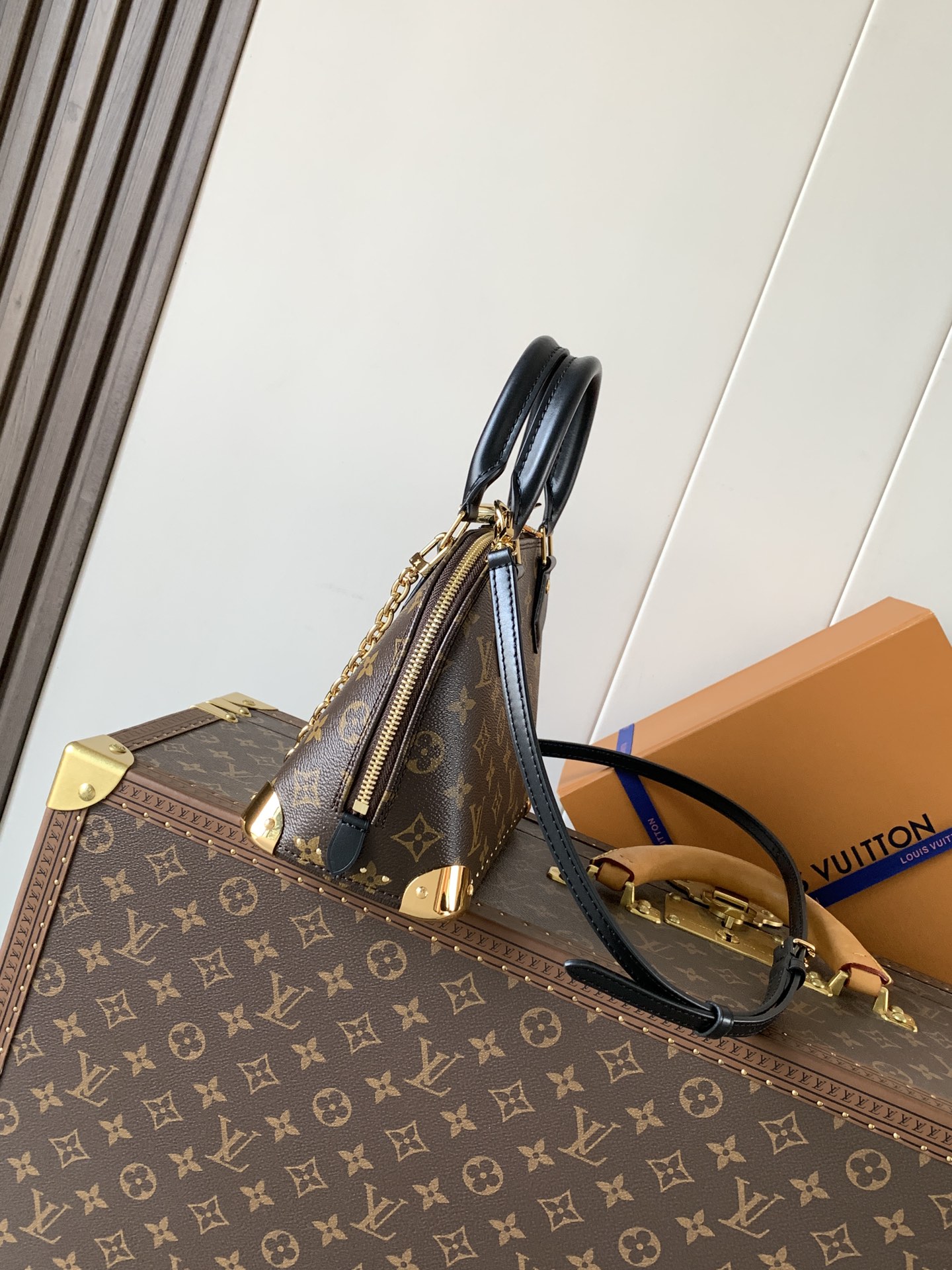 Louis Vuitton Basic Bag Cow Leather M-l-s