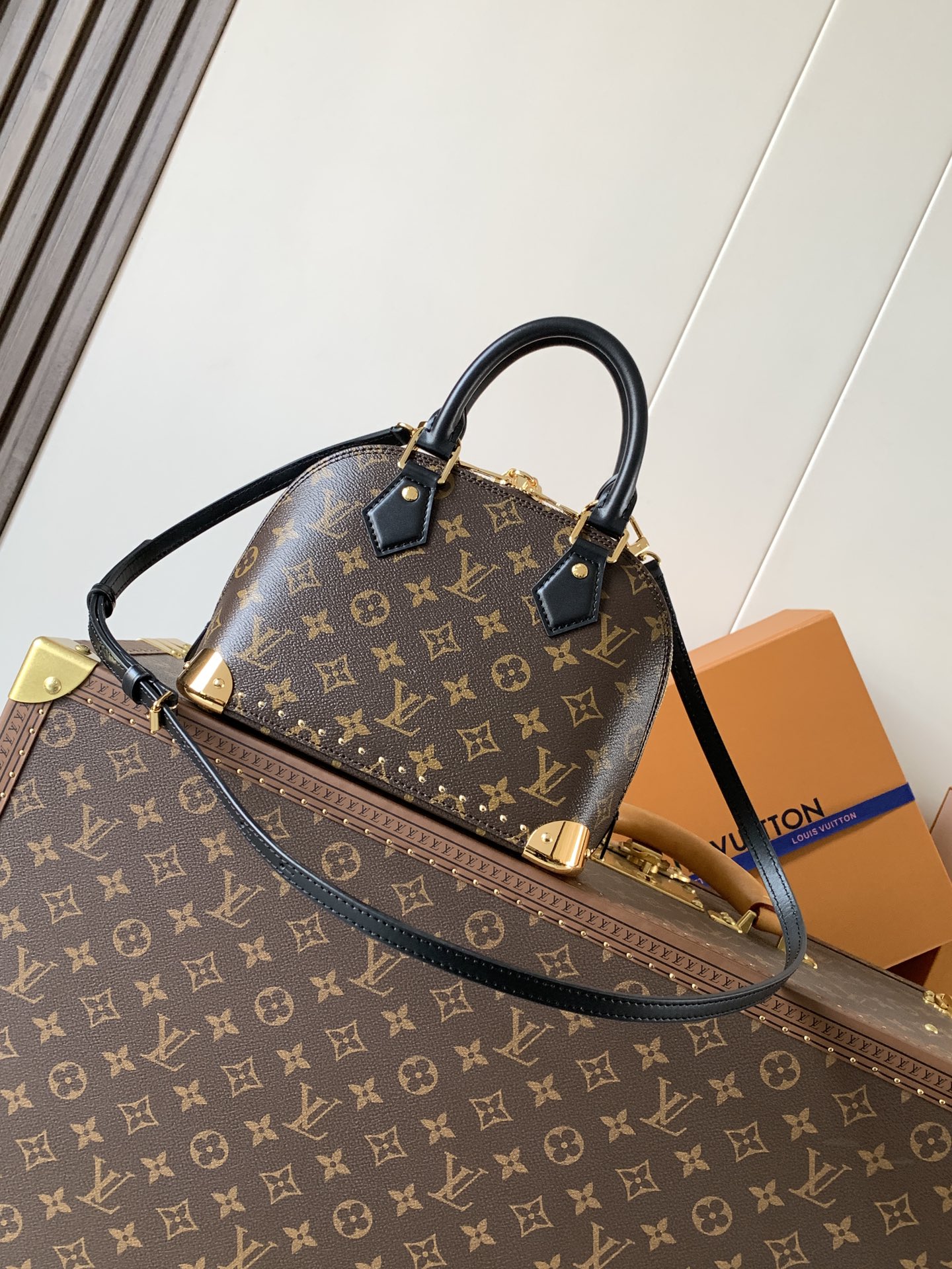 Louis Vuitton Basic Bag Cow Leather M-l-s