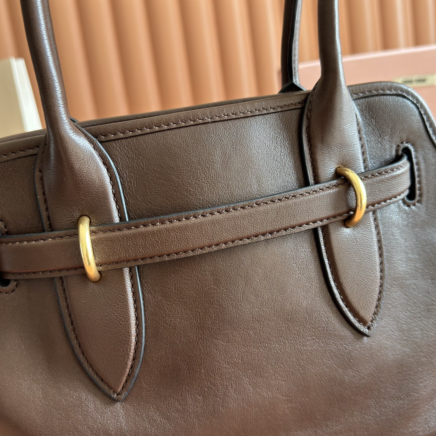 Miu Miu Basic Bag Gold M-10cm