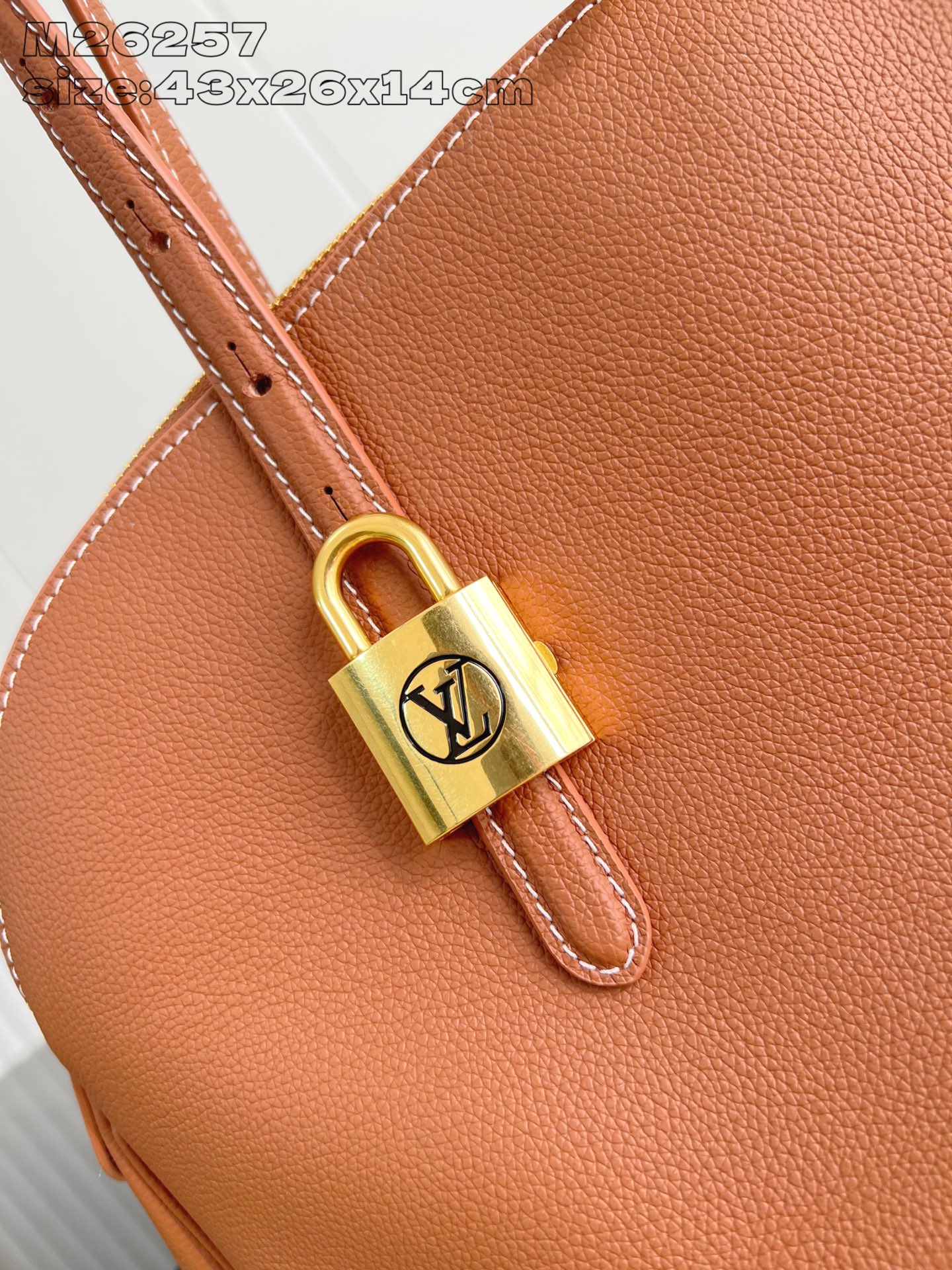 Louis Vuitton Basic Bag Cow Leather Gold M-l