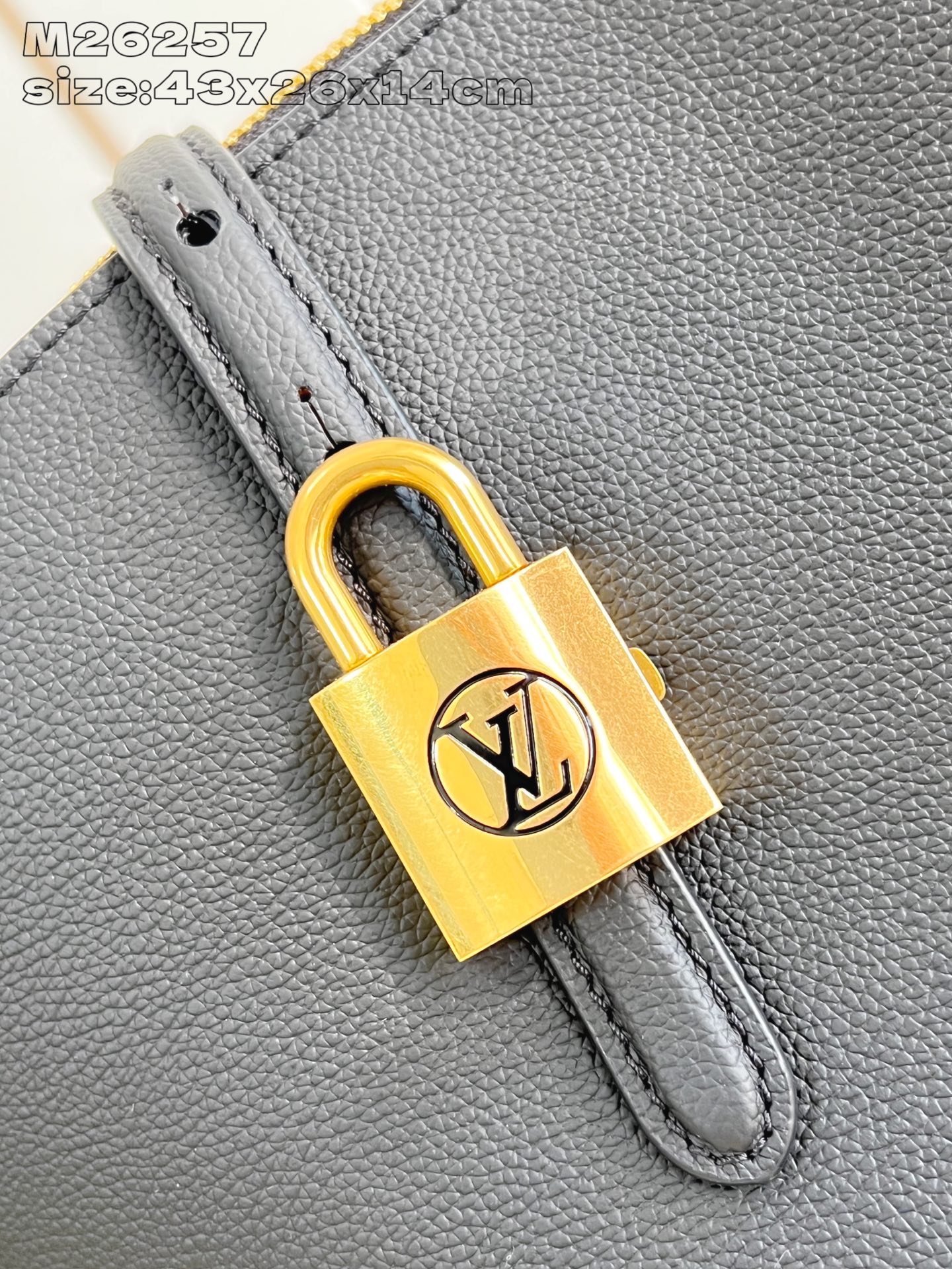 Louis Vuitton Basic Bag Cow Leather Gold M-l