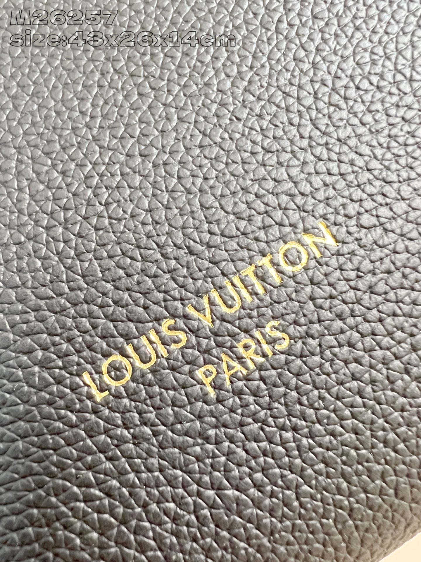 Louis Vuitton Basic Bag Cow Leather Gold M-l