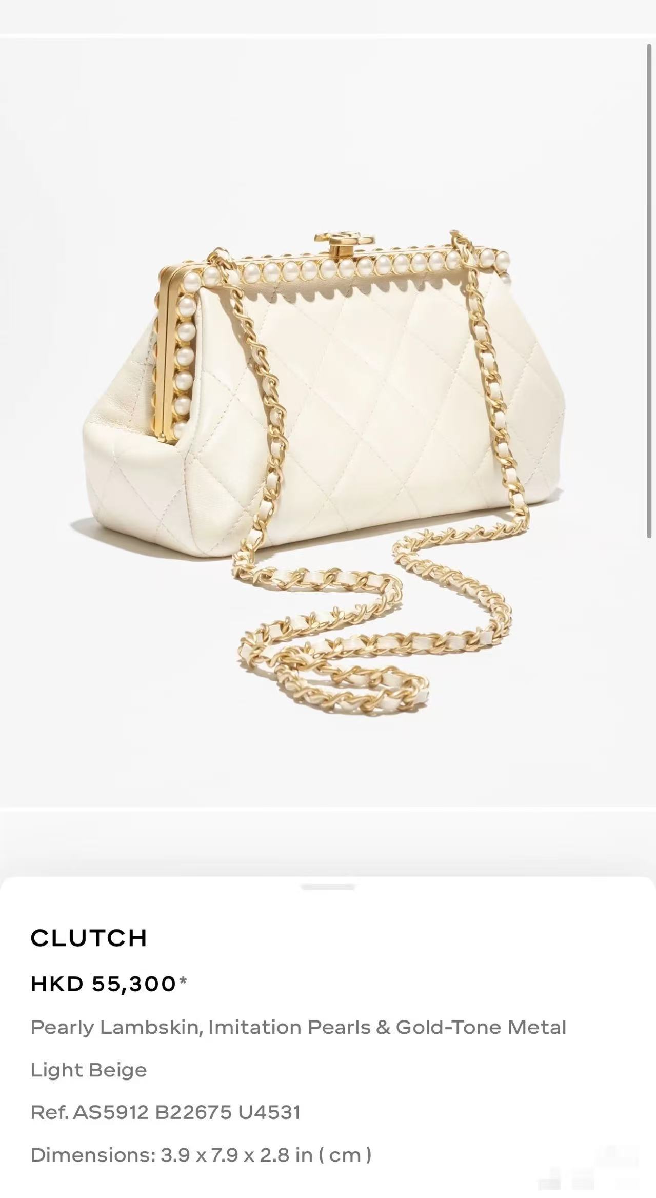 Chanel Clutch Bag M-l