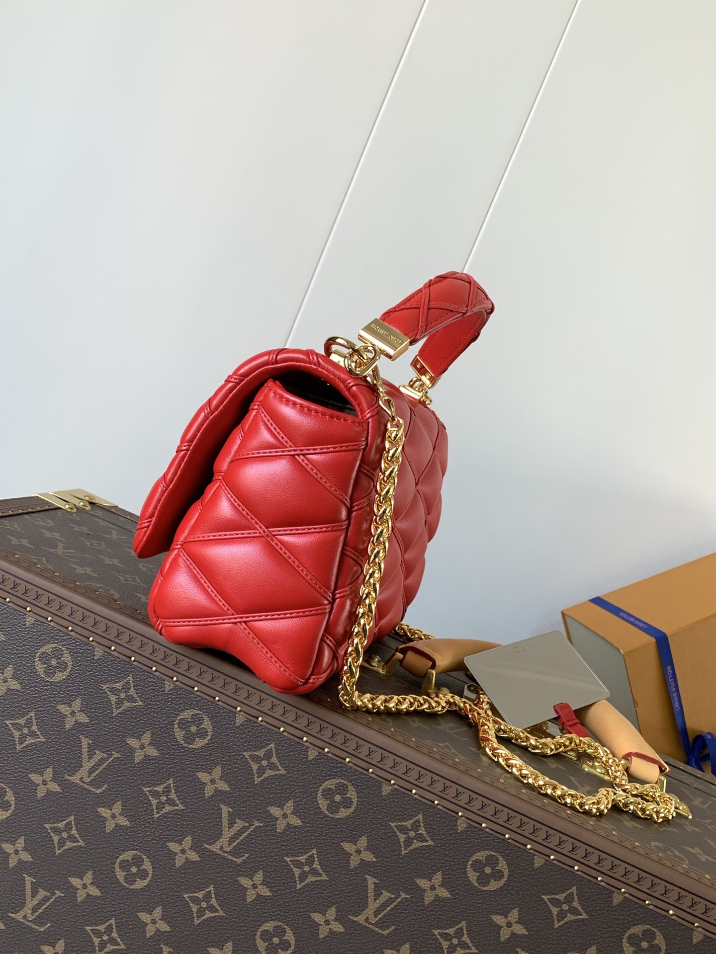 Louis Vuitton Basic Bag Sheepskin Black M-10cm-s