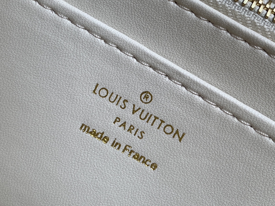 Louis Vuitton Basic Bag Sheepskin Black M-10cm-s