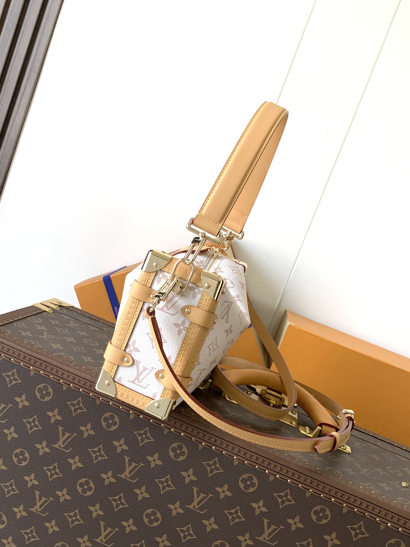 Louis Vuitton Basic Bag Cow Leather M-l-s