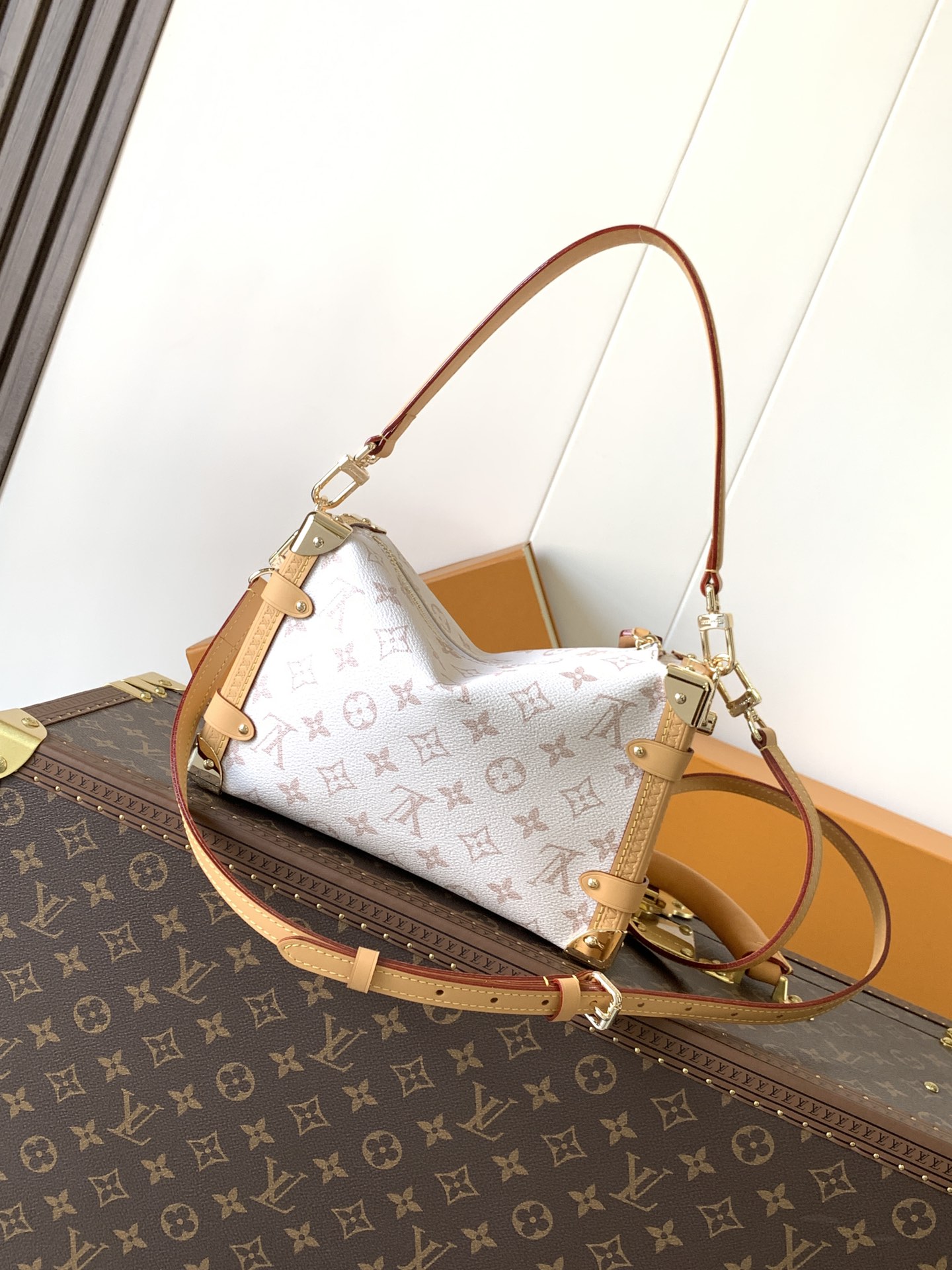 Louis Vuitton Basic Bag Cow Leather M-l-s