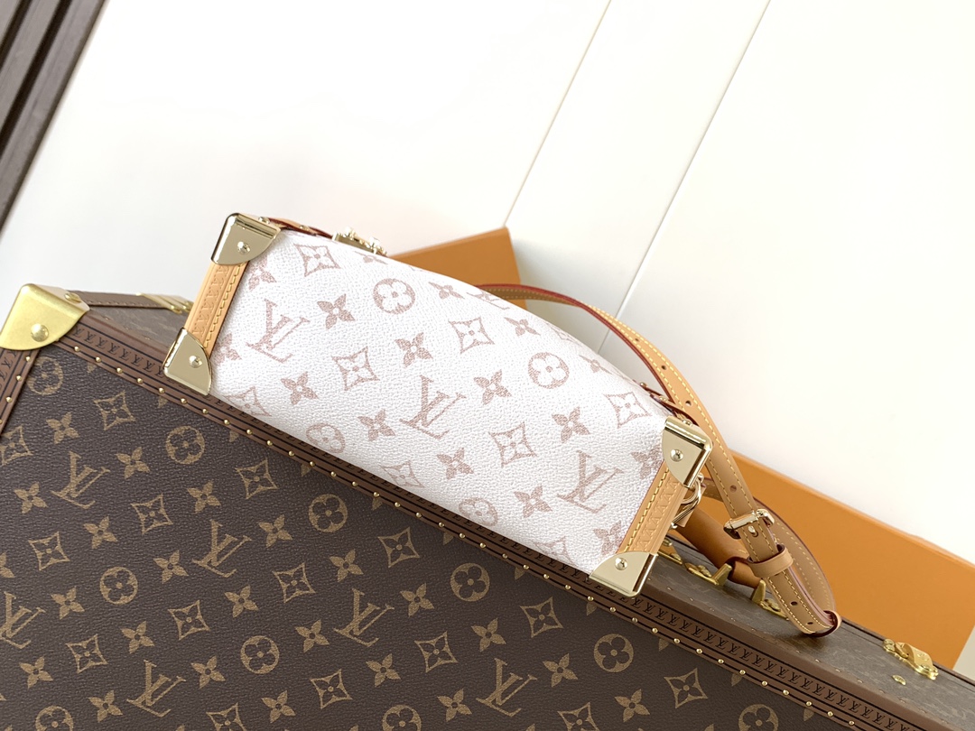 Louis Vuitton Basic Bag Cow Leather M-l-s