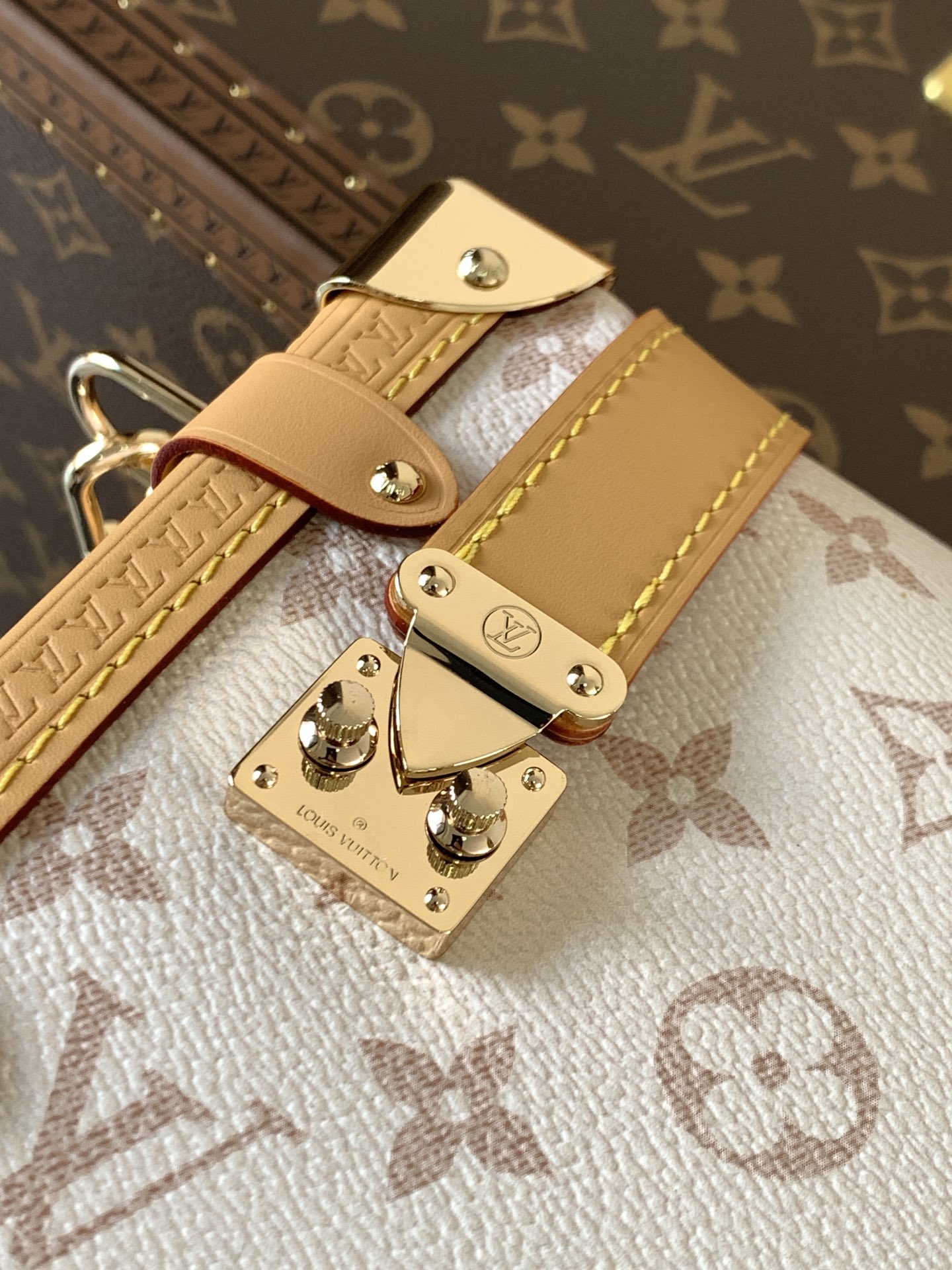 Louis Vuitton Basic Bag Cow Leather M-l-s