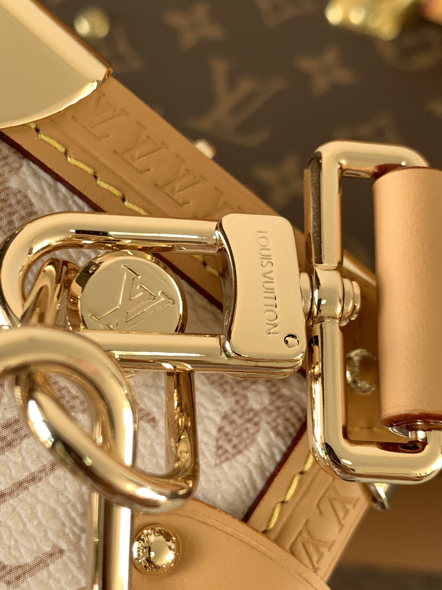 Louis Vuitton Basic Bag Cow Leather M-l-s