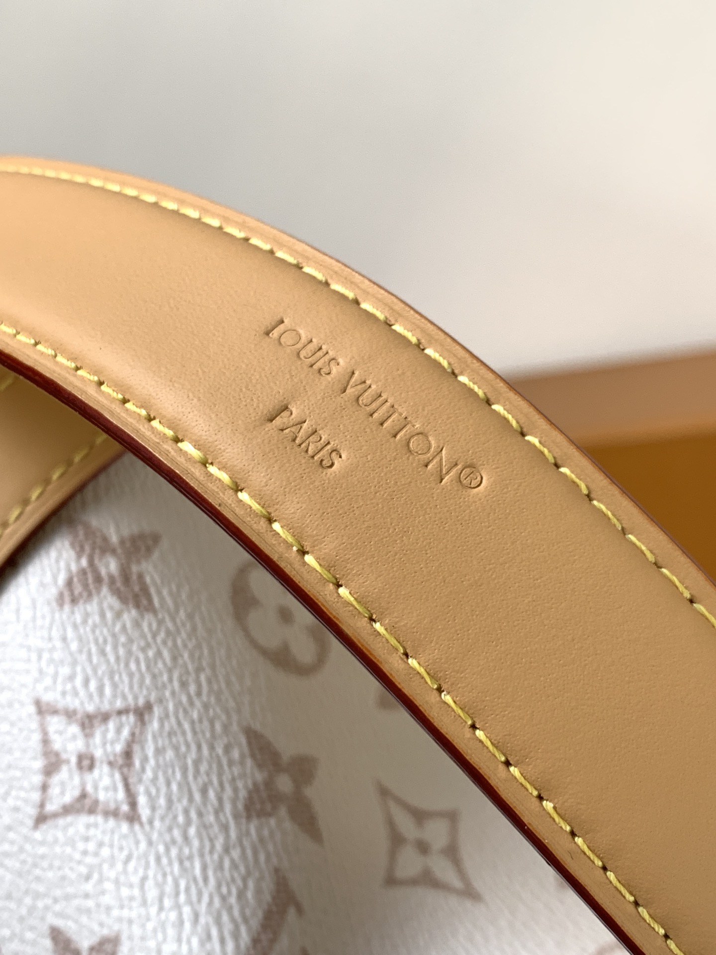 Louis Vuitton Basic Bag Cow Leather M-l-s