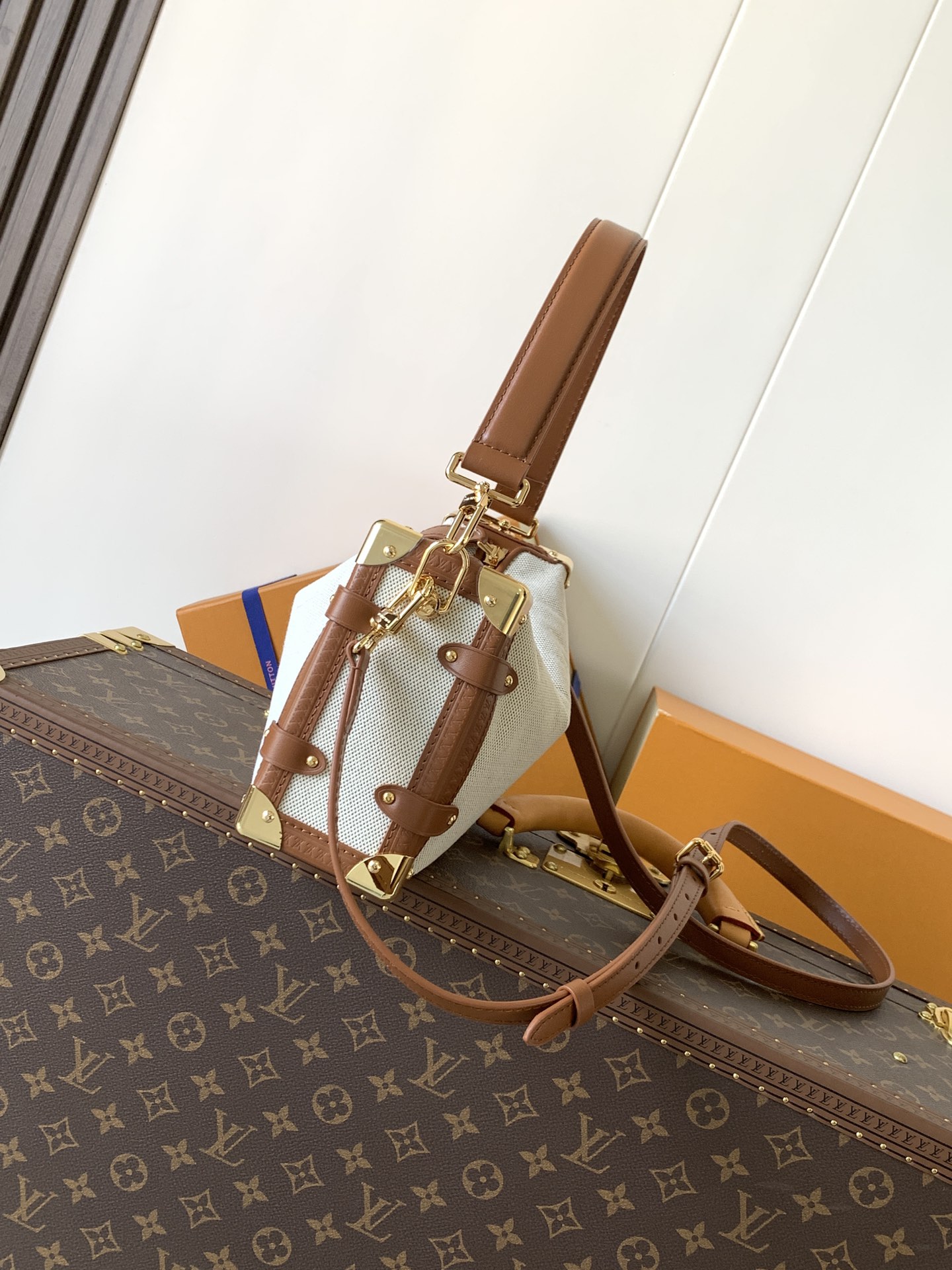 Louis Vuitton Basic Bag Cow Leather M-l-s