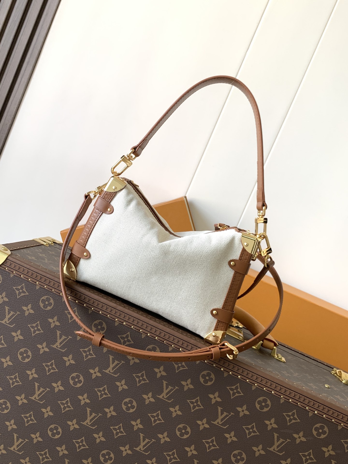 Louis Vuitton Basic Bag Cow Leather M-l-s