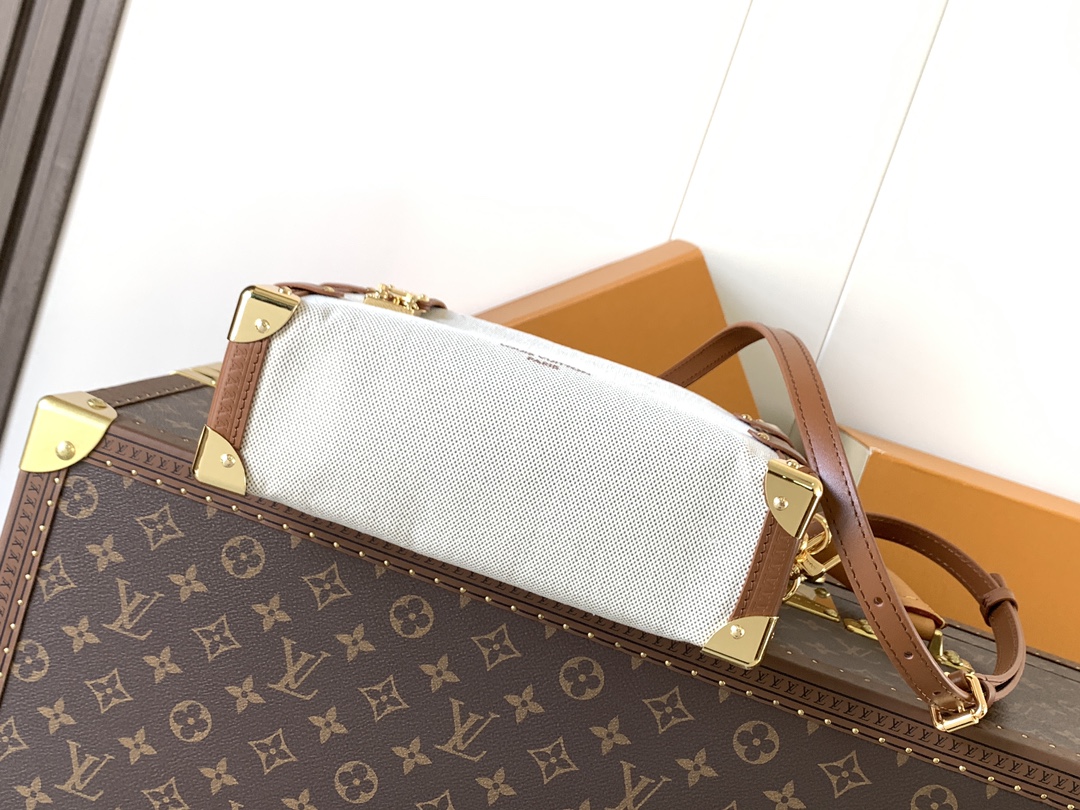 Louis Vuitton Basic Bag Cow Leather M-l-s