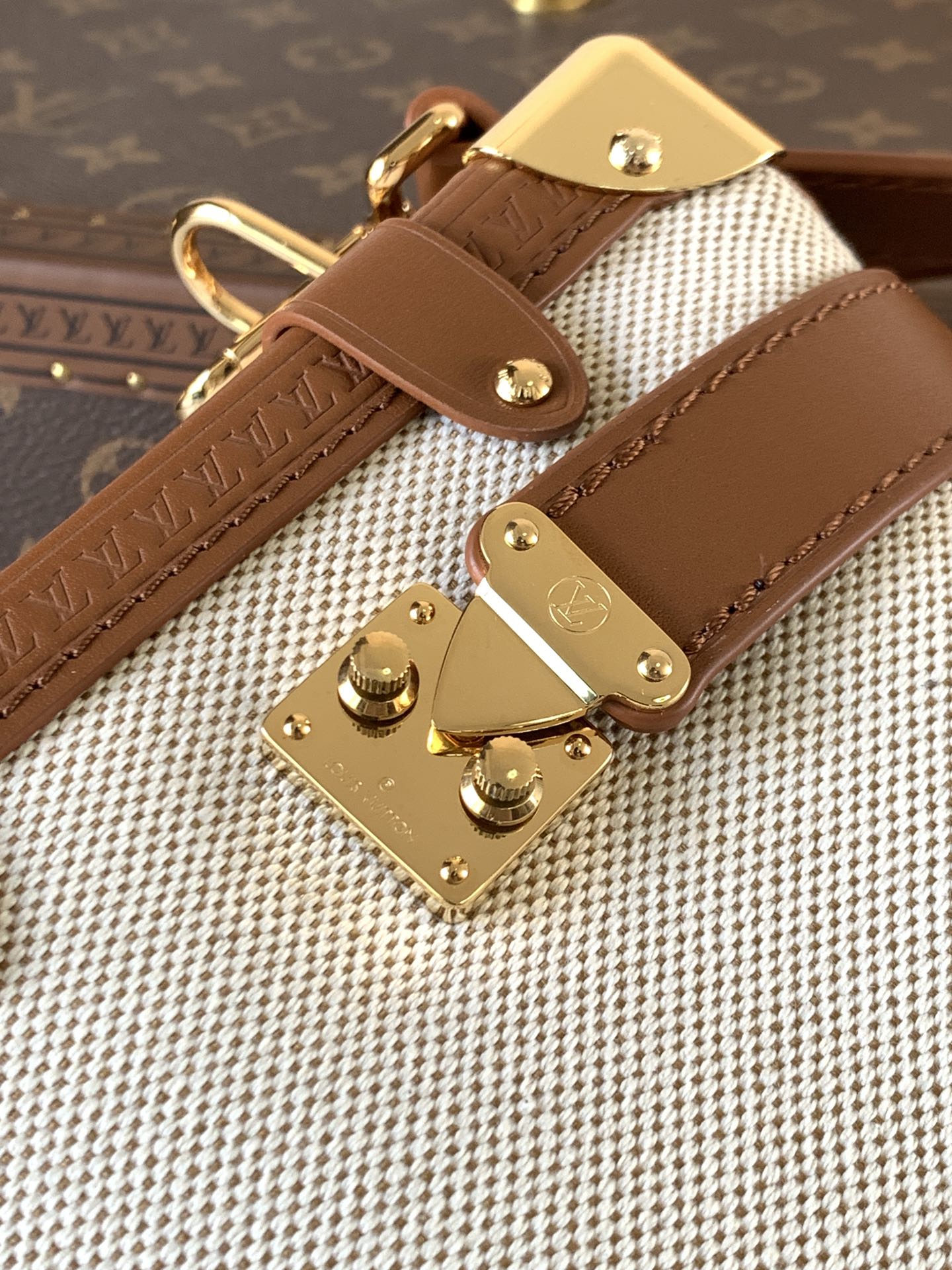 Louis Vuitton Basic Bag Cow Leather M-l-s