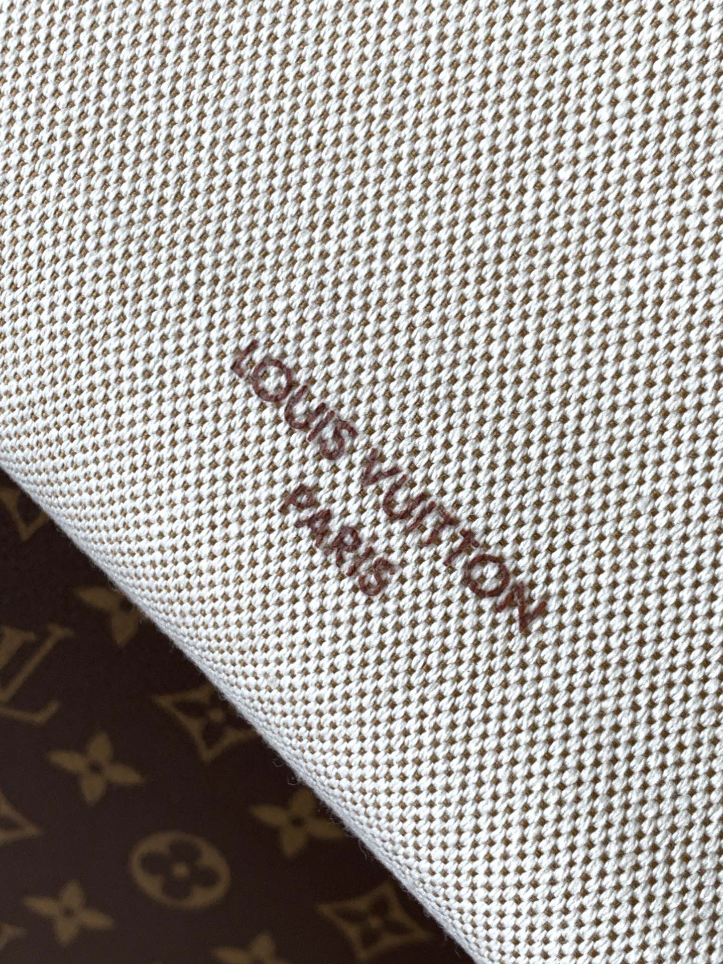 Louis Vuitton Basic Bag Cow Leather M-l-s