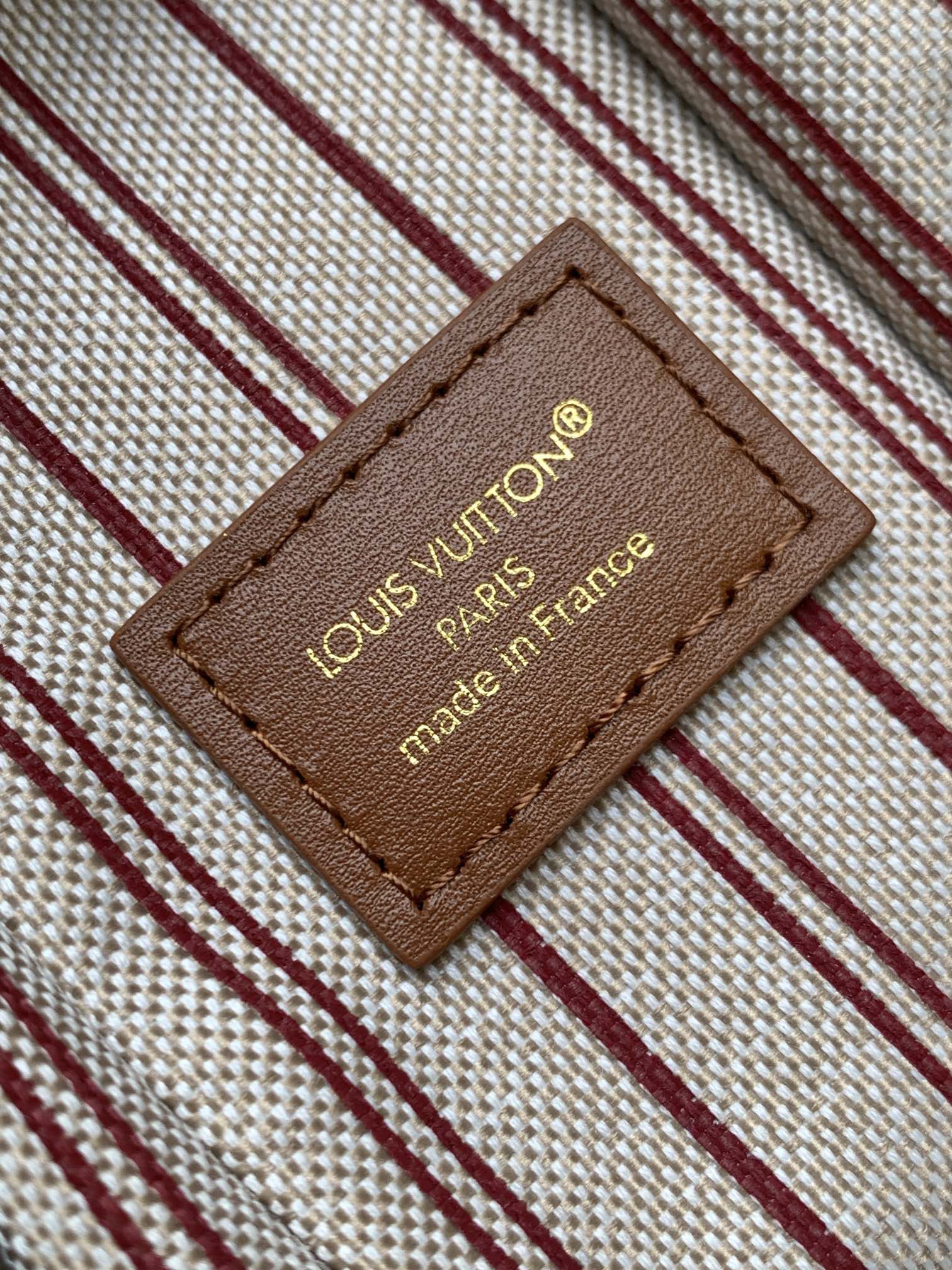 Louis Vuitton Basic Bag Cow Leather M-l-s