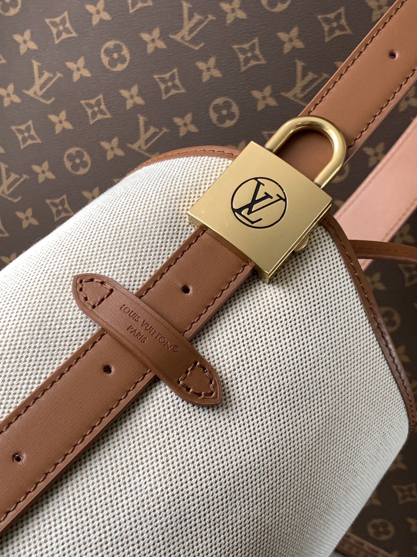 Louis Vuitton Basic Bag Cow Leather M-l