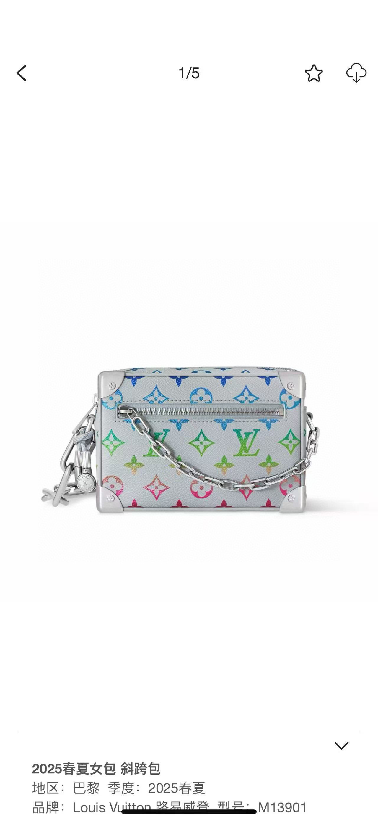 Louis Vuitton Basic Bag Cow Leather M-l-s