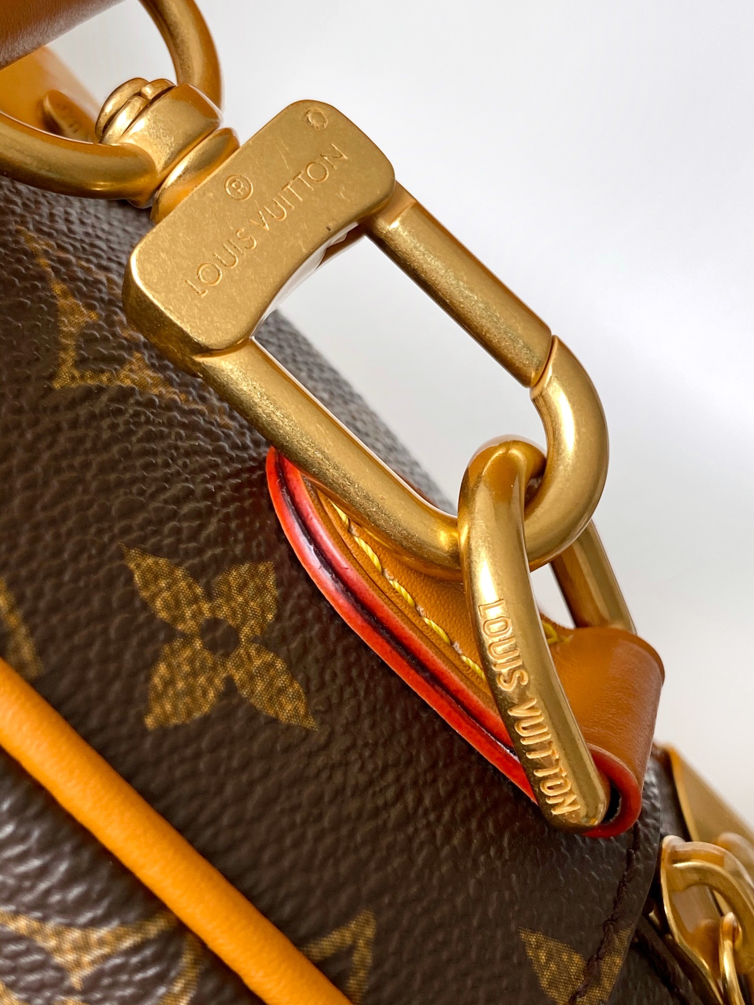 Louis Vuitton Basic Bag Cow Leather M-l-s