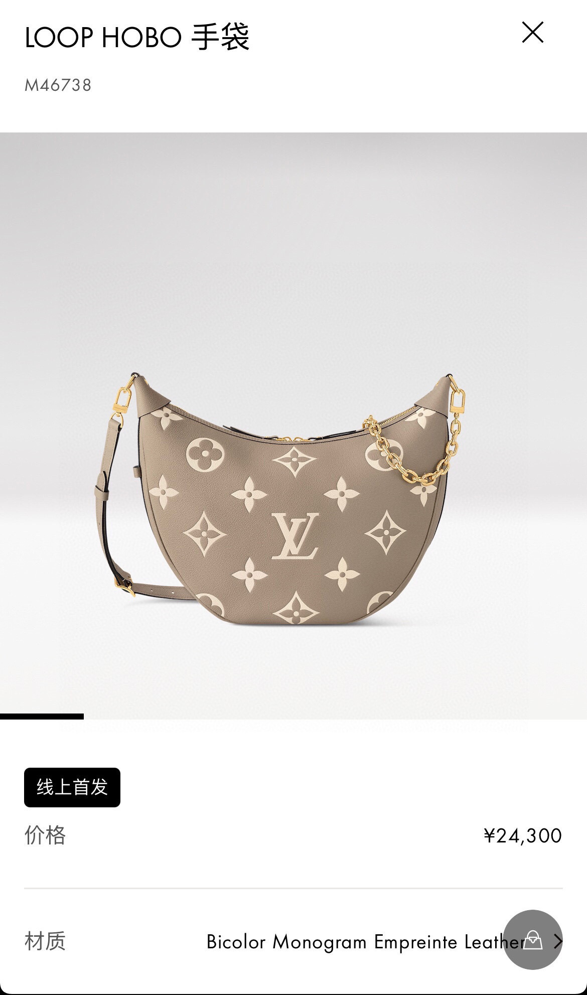 Louis Vuitton Basic Bag Cow Leather Black M-l