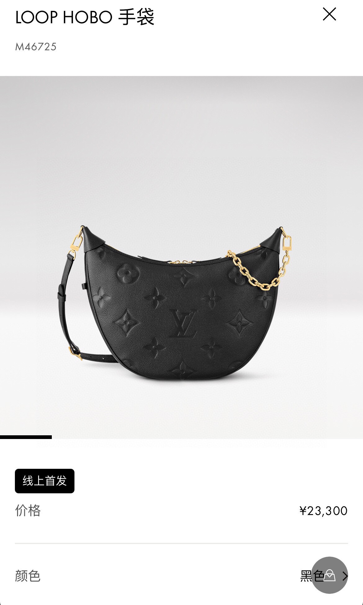 Louis Vuitton Basic Bag Cow Leather Black M-l