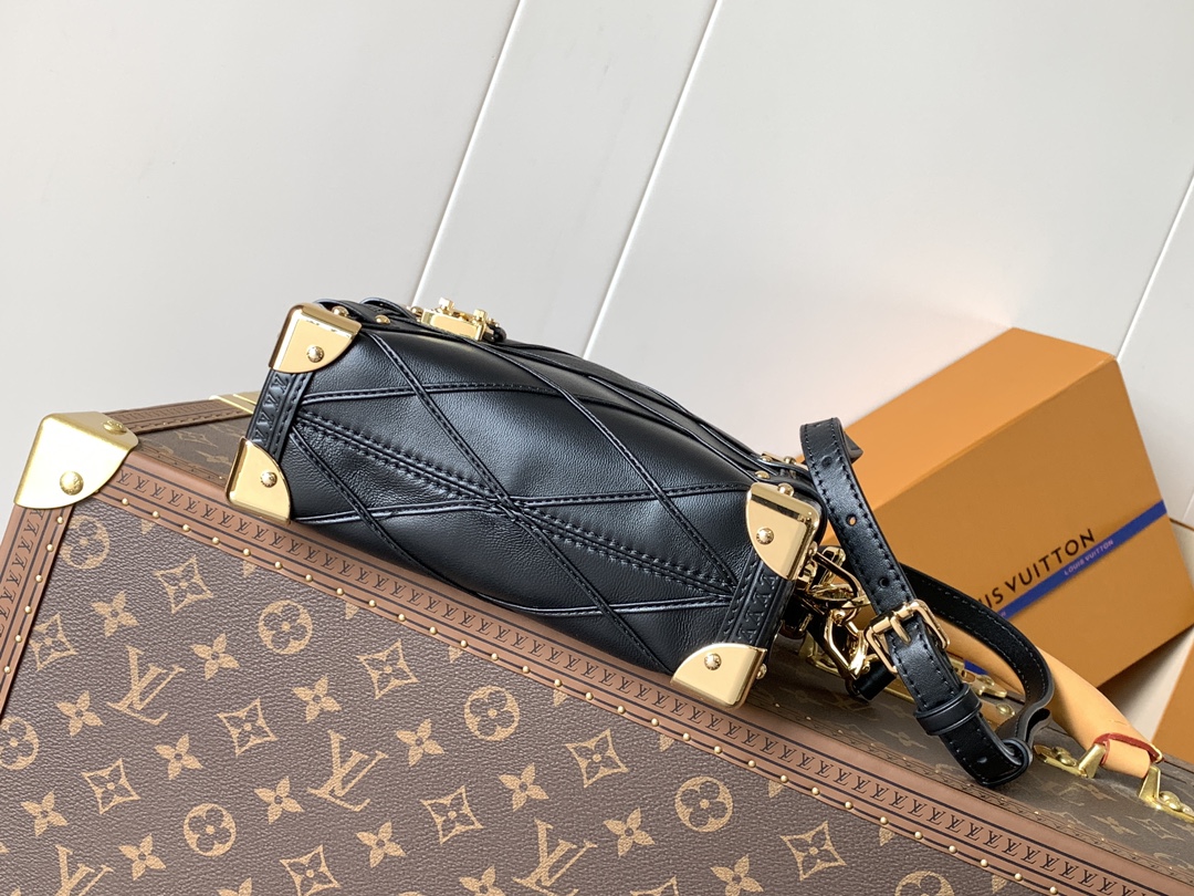 Louis Vuitton Basic Bag Cow Leather Black M-l-s