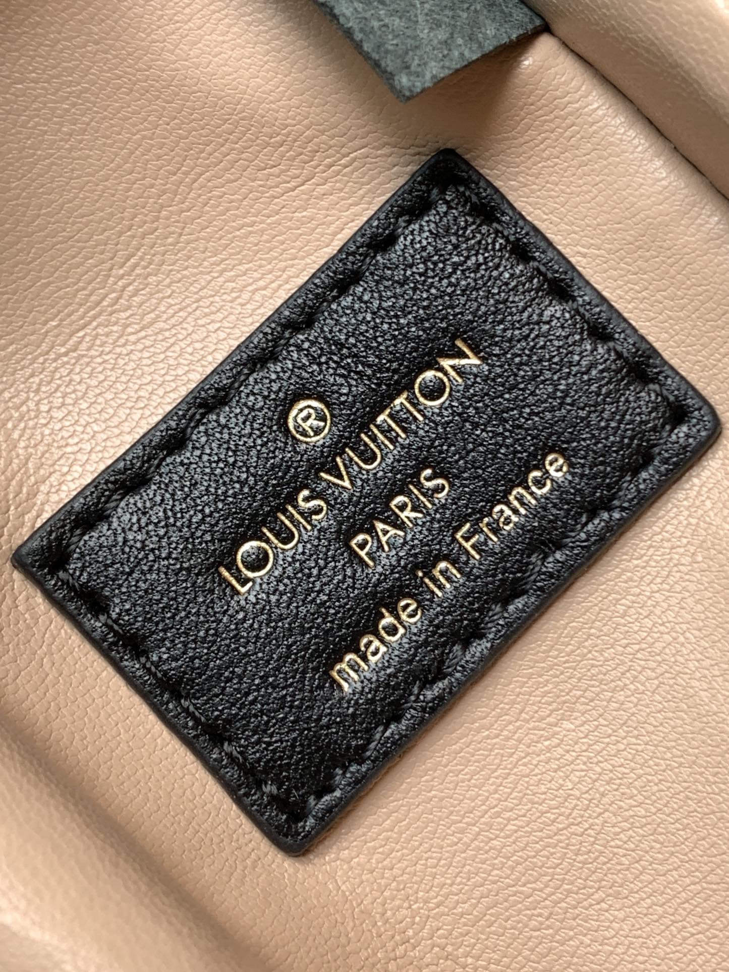 Louis Vuitton Basic Bag Cow Leather Black M-l-s