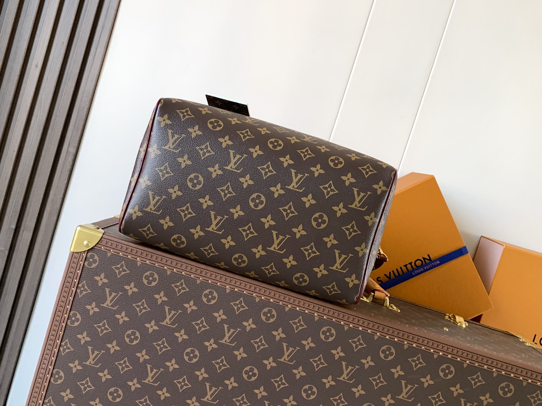 Louis Vuitton Basic Bag Cow Leather Gold M-l-s