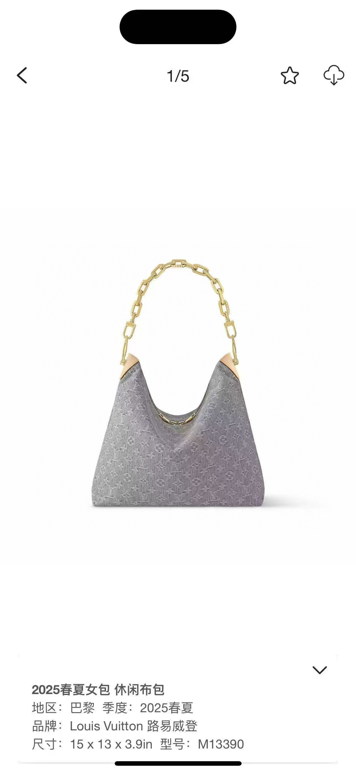 Louis Vuitton Basic Bag Cow Leather Black M-s