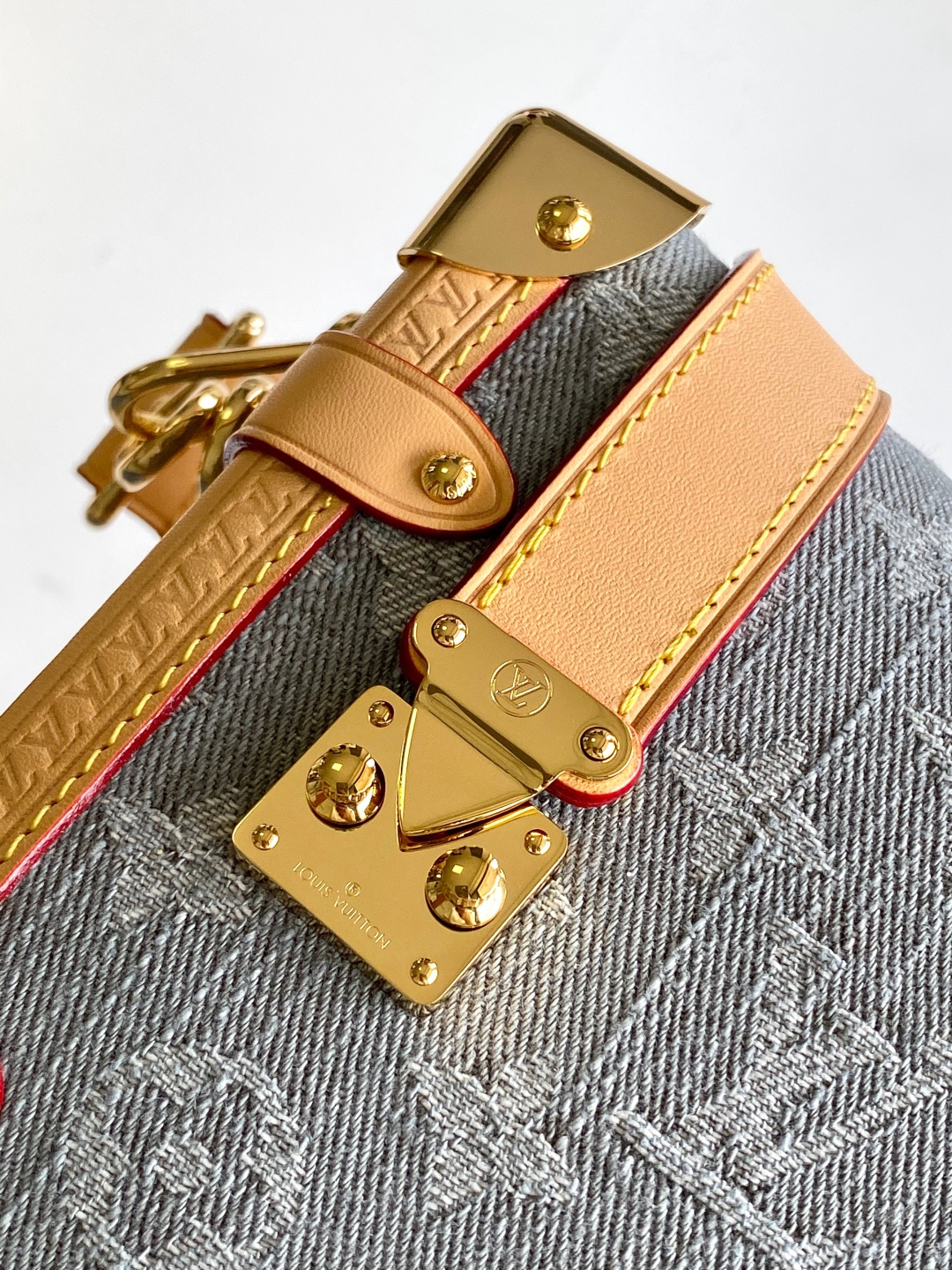 Louis Vuitton Basic Bag Cow Leather M-l-s