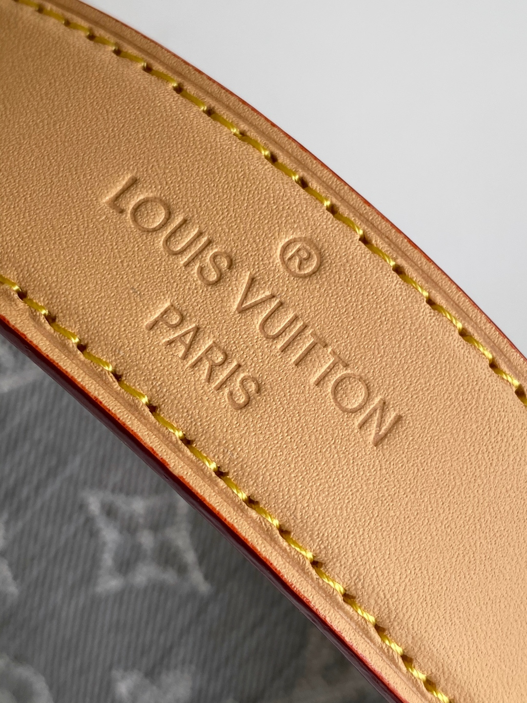 Louis Vuitton Basic Bag Cow Leather M-l-s