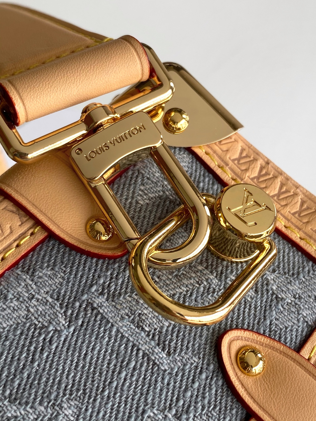 Louis Vuitton Basic Bag Cow Leather M-l-s