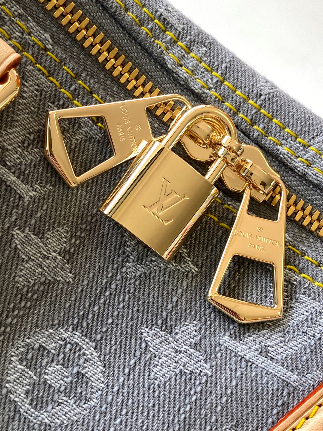 Louis Vuitton Basic Bag Cow Leather M-s