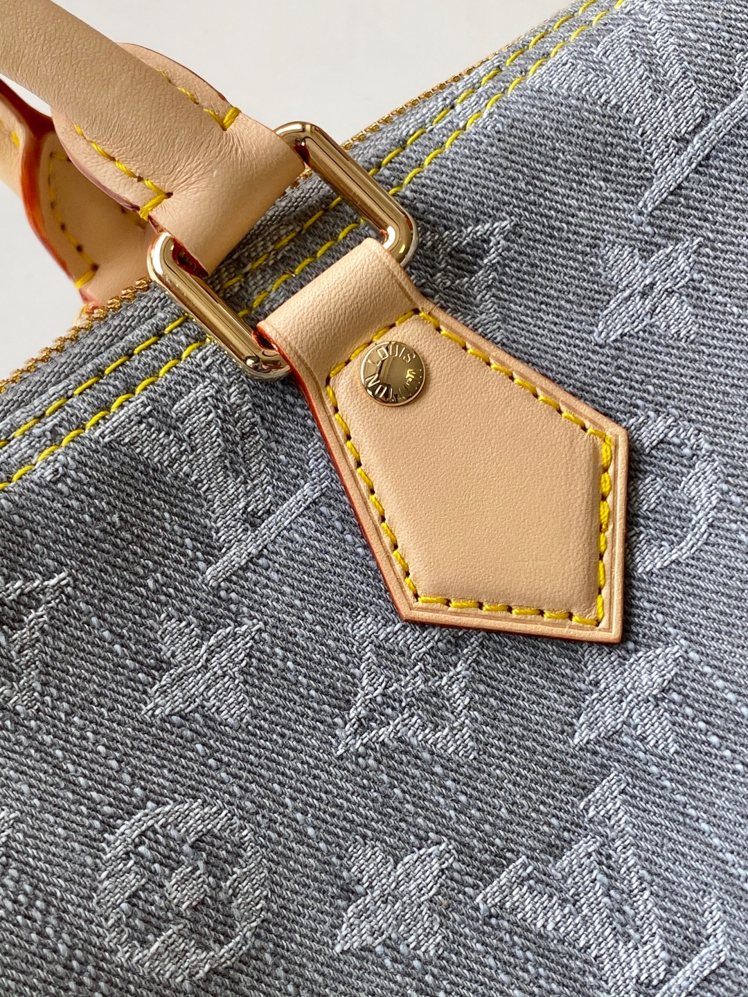 Louis Vuitton Basic Bag Cow Leather M-s