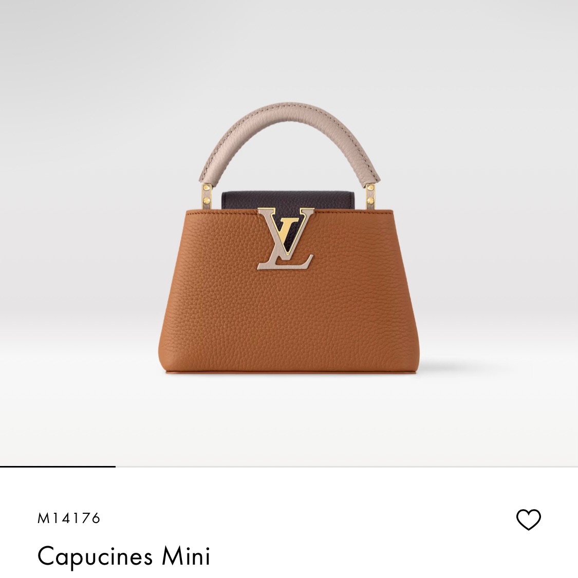 Louis Vuitton Basic Bag Cow Leather Brown M-l-s