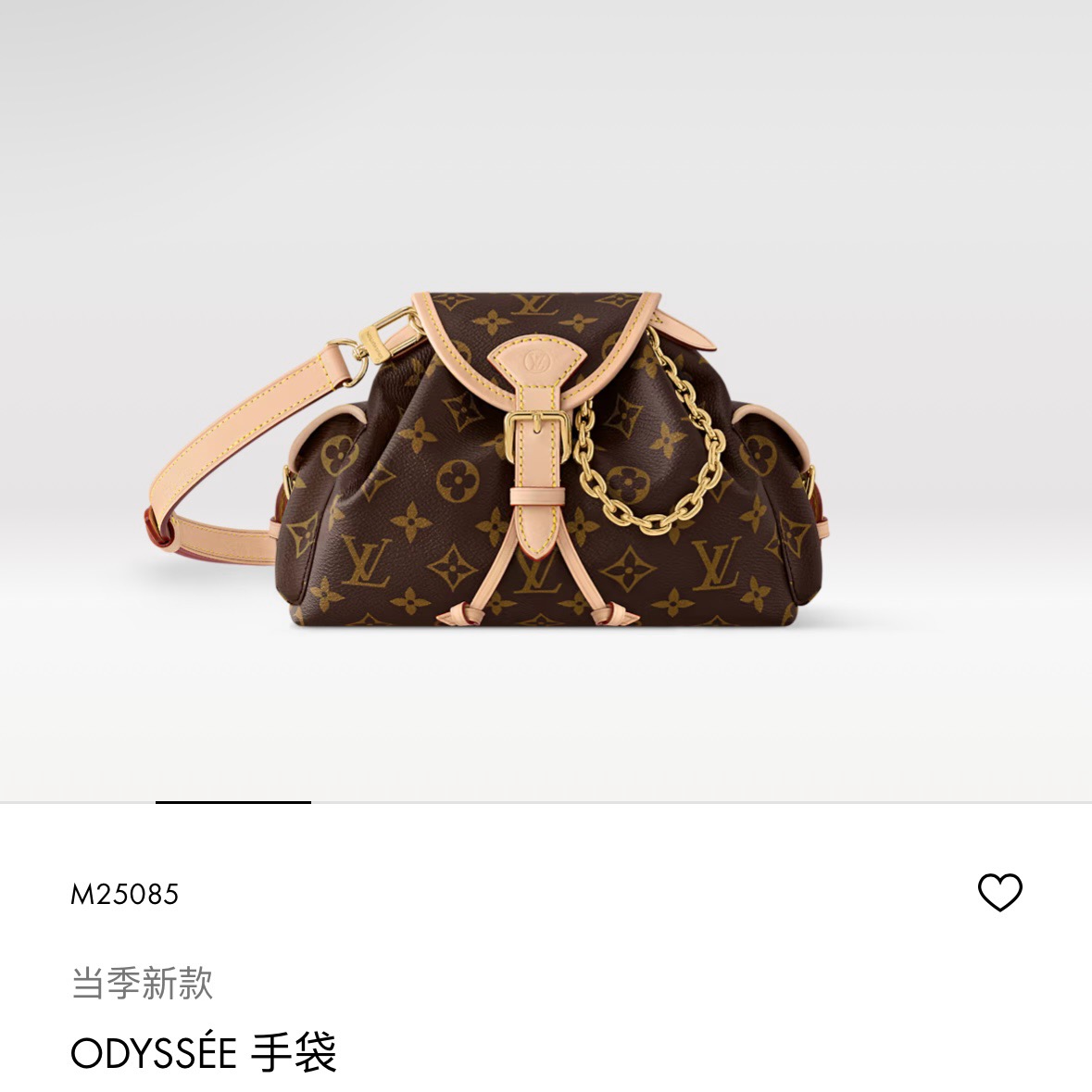 Louis Vuitton Basic Bag Cow Leather M-l-s