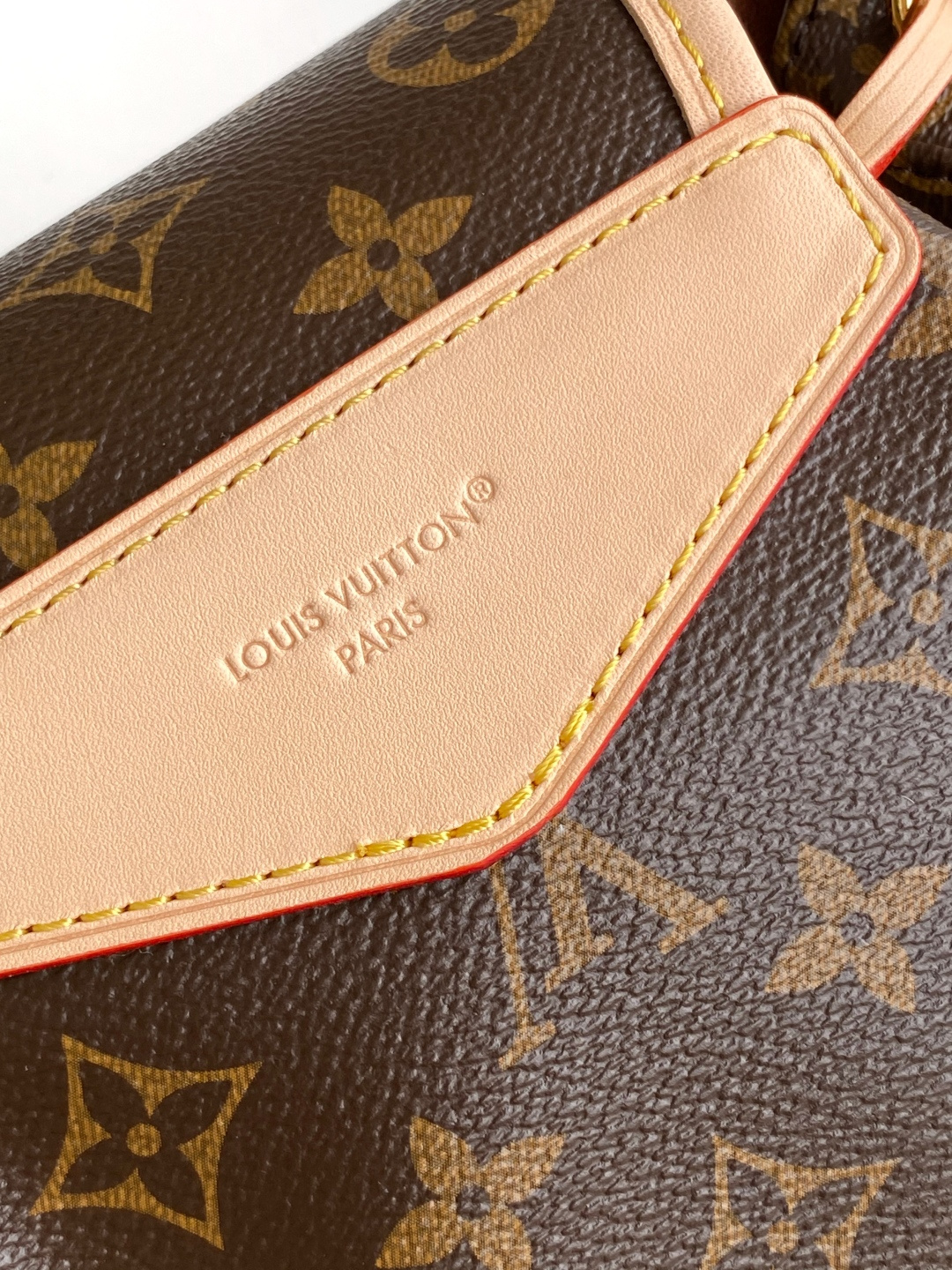 Louis Vuitton Basic Bag Cow Leather M-l-s