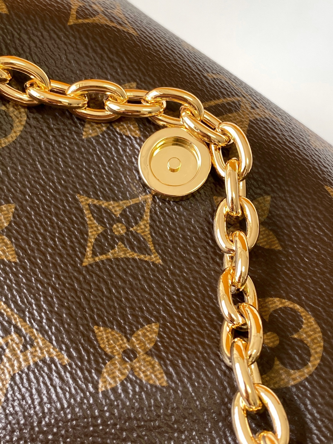 Louis Vuitton Basic Bag Cow Leather M-l-s