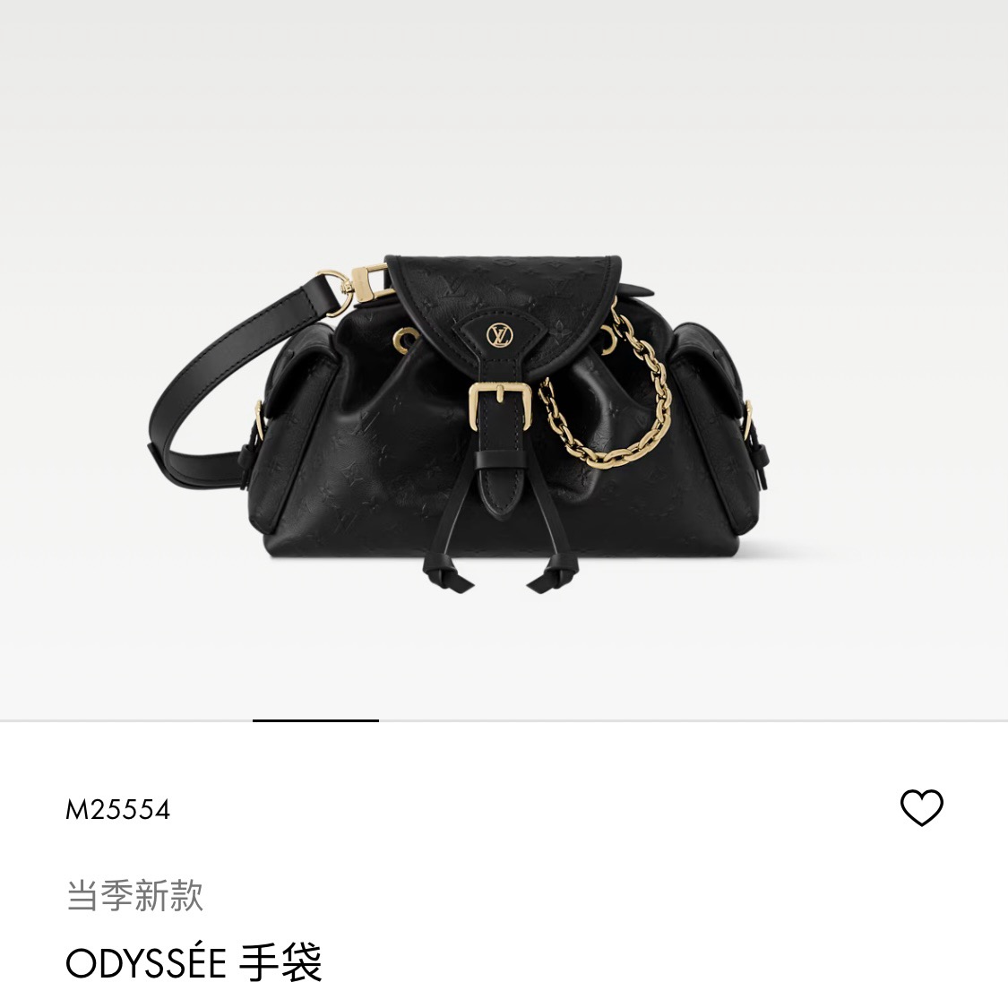 Louis Vuitton Basic Bag Cow Leather M-l-s