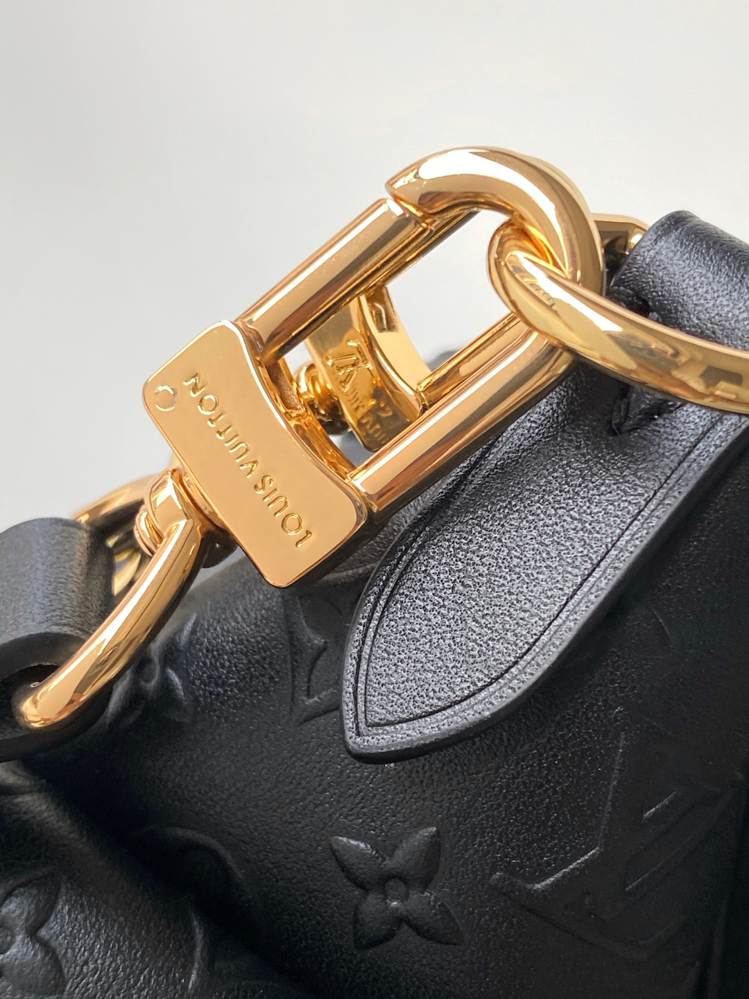 Louis Vuitton Basic Bag Cow Leather M-l-s