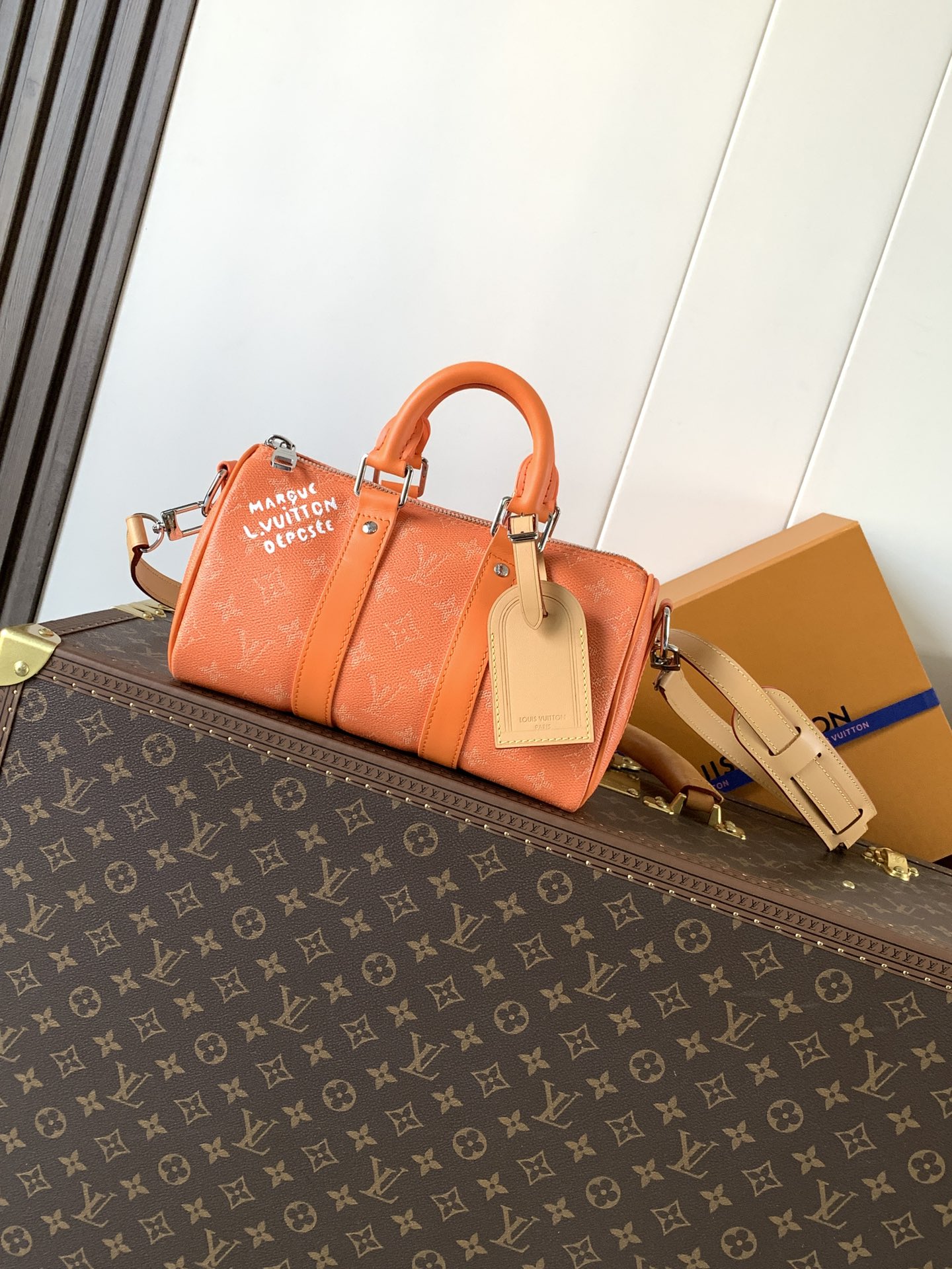 Louis Vuitton Basic Bag Cow Leather M-l-s