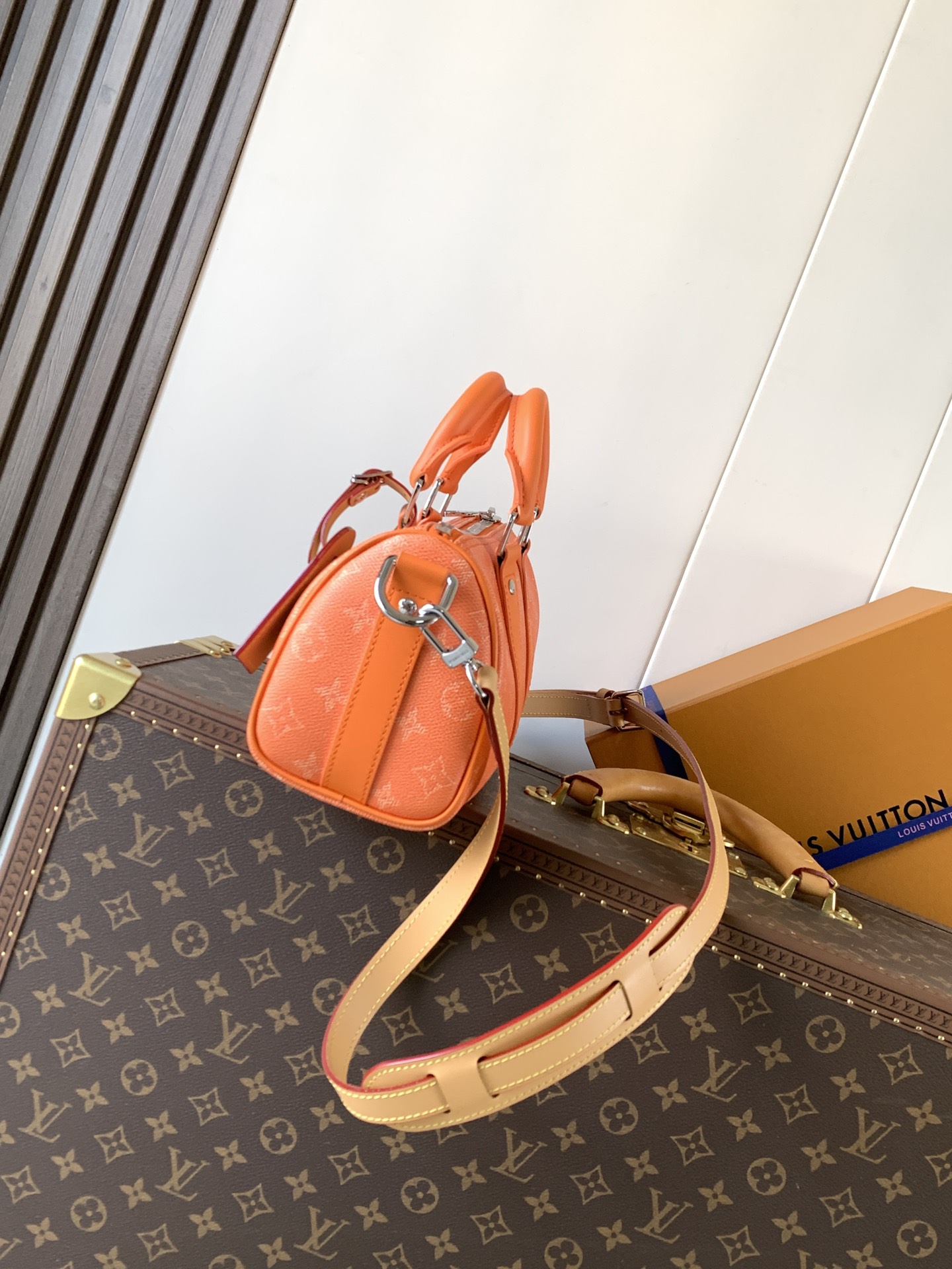 Louis Vuitton Basic Bag Cow Leather M-l-s