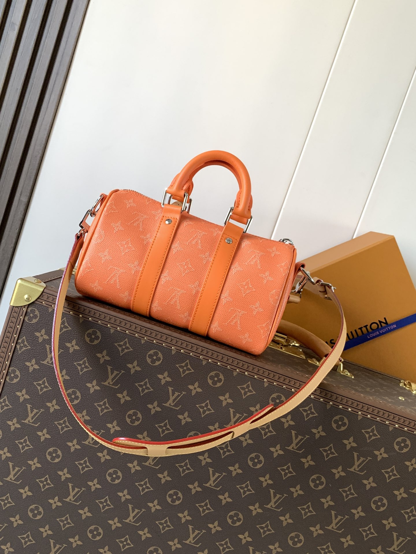 Louis Vuitton Basic Bag Cow Leather M-l-s