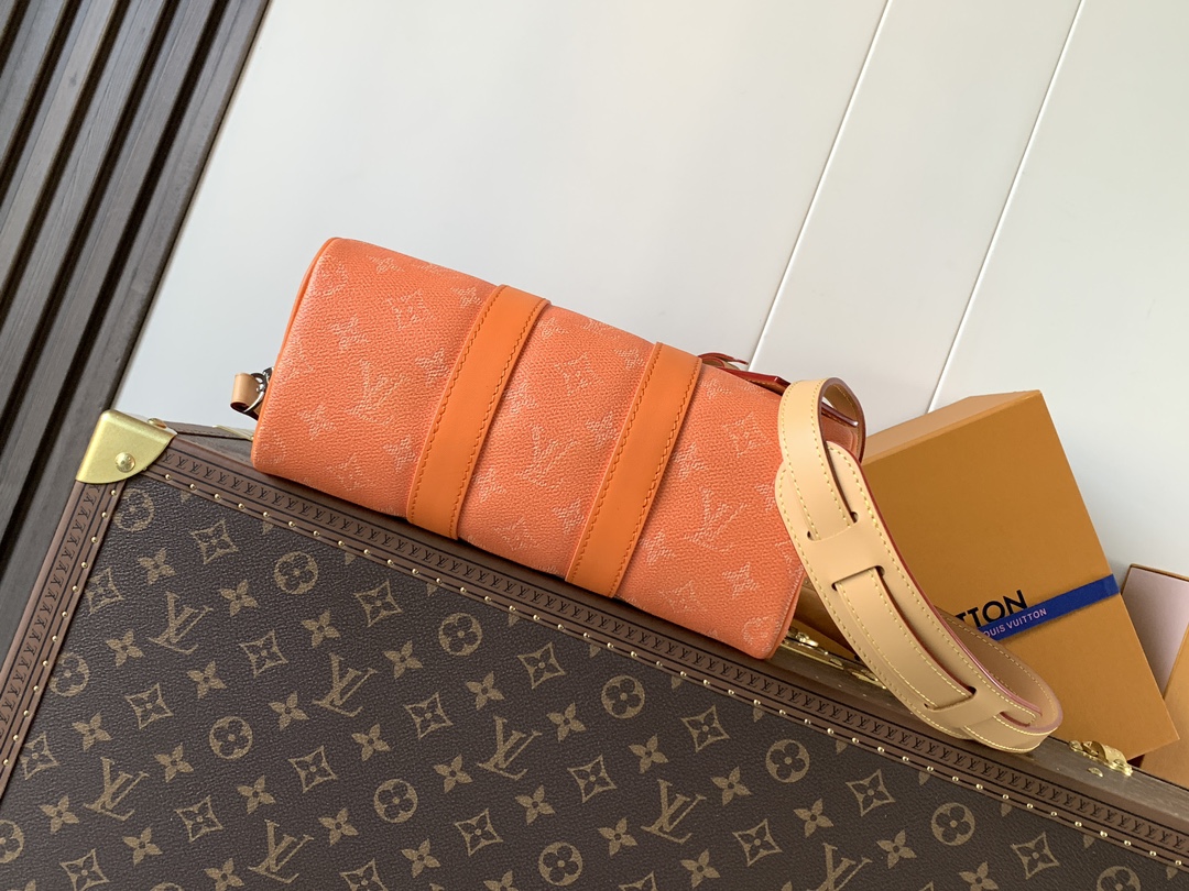 Louis Vuitton Basic Bag Cow Leather M-l-s