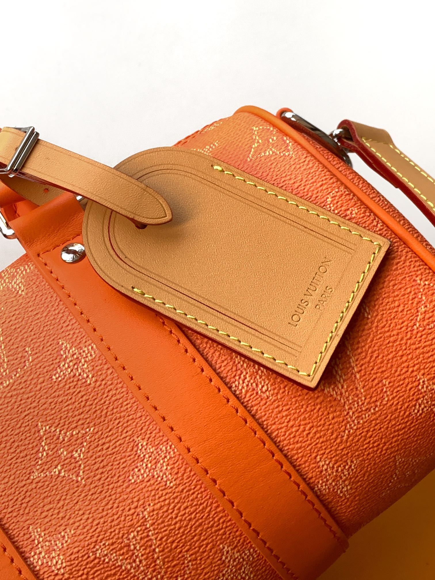 Louis Vuitton Basic Bag Cow Leather M-l-s